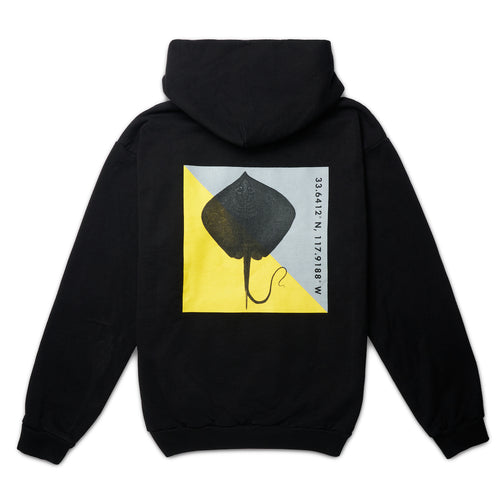 ola canvas ray signal hoodie
