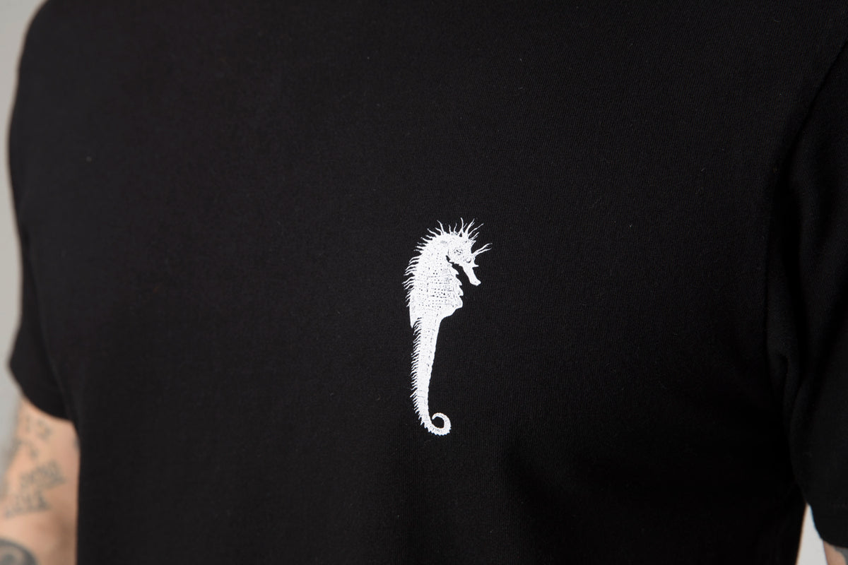 ola canvas seahorse graphic